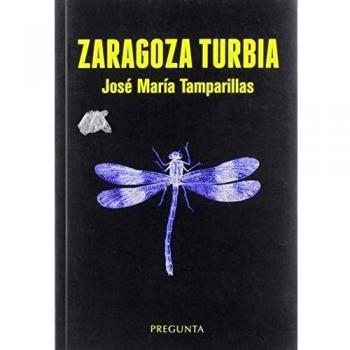 Zaragoza turbia