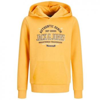 Sudadera Jack and Jones Junior Elogo 2 col 24/25 honey gold con capucha para niño