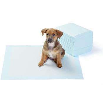 Amazon Basics Almohadillas de adiestramiento de perros y cachorros, diseño de 5 capas a prueba de fugas con superficie de secado rápido, regular, 50 unidades