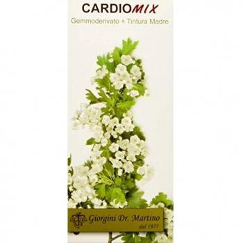 Cardiomix Líquido Sin Alcohol 100ml - Dr. Giorgini