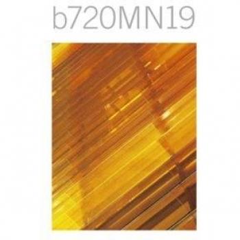 b720MN19