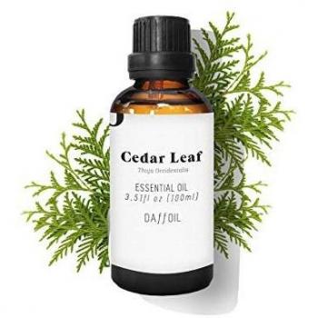 Daffoil Cedar Leaf Essential Oil 100 ml - Aromatic and Therapeutic