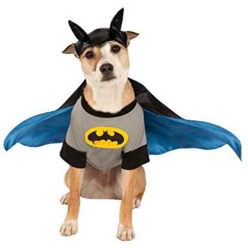 DC Comics - Disfraz de Batman para mascota, Talla S perro