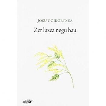 Zer luzea negu hau