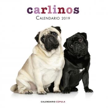 Calendario Carlinos 2019 - AA VV