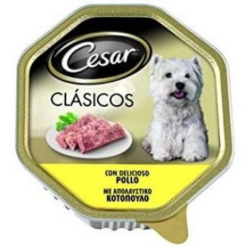 Cesar Wet Dog Food Chicken Flavor in Paté Tub - 150g