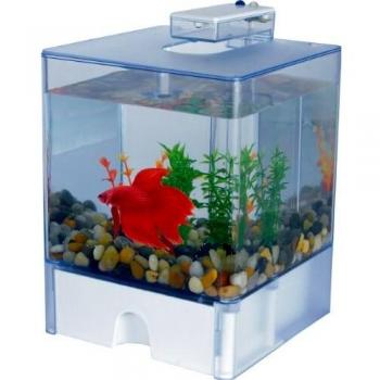 AA Caja de Aqua Betta 2 Acuario