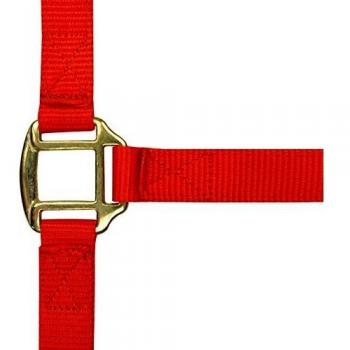 Cabestro de Nailon con Forro de Cuero Rojo (Cob) NORTON