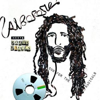 Alborosie meets roots radics dub for the radicals vinyl