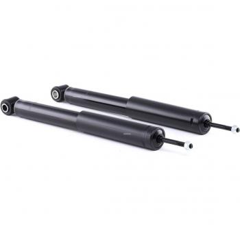 RIDEX 854S1538 Amortiguador, Set de 2