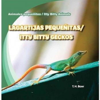 Lagartijas pequeñitas / Itty Bitty Geckos