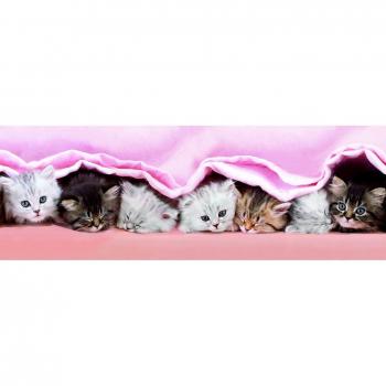 Puzzle panorámico de 150 piezas - Gatitos