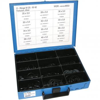 Juego de juntas tóricas de goma Dresselhaus 4499/000/06 8553