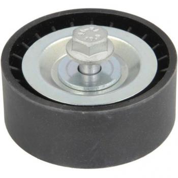 Polea tensora correa poli V BTA E2R5551BTA
