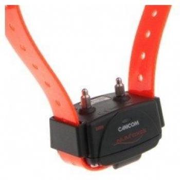 Collar Adicional Num'axes Canicom 5 - Correa Naranja