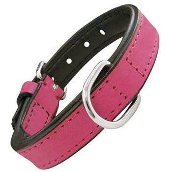 Collar para Perro Acolchado Fucsia 55 x 2,5 cm