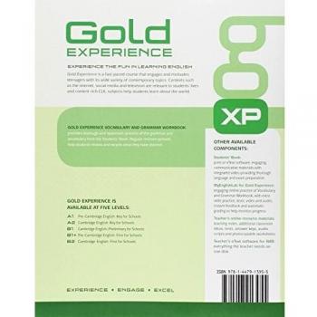 Gold Experience B2 Workbook without key