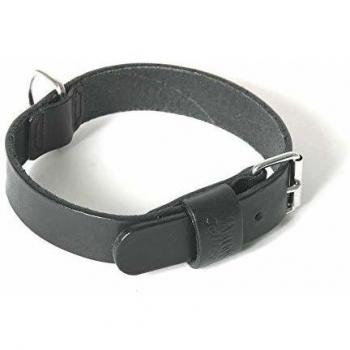 Collar de cuero bicolor para perro Martin Sellier 499 con correa incluida