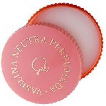 Gal Vaselina Perfumada 13ml