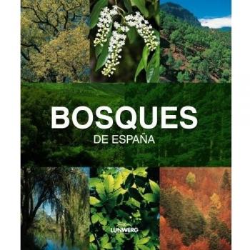Bosques de España. Lunwerg Medium
