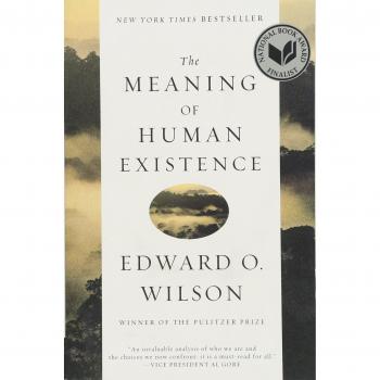 The Meaning of Human Existence