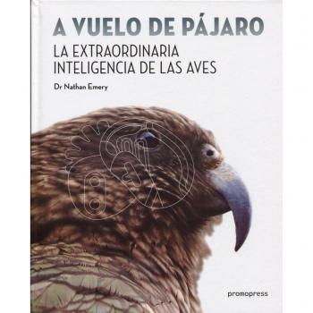 A vuelo de pájaro. La extraordinaria inteligencia de las aves