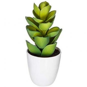 Plantas Suculentas y Cactus H18 - Modelo 5 Atmosphera