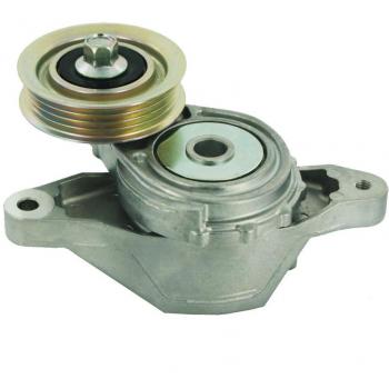 SKF VKM 63029 Kit tensor multi-V