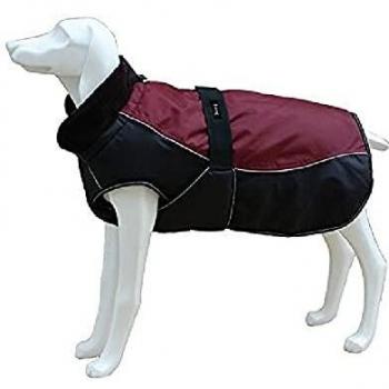 Freedog FD5000998 - Abrigo Impermeable, para Perro, Color Granate