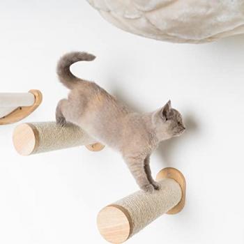 Muro de Escalada para Gatos - Set de Escaleras y Postes Sisal Beige