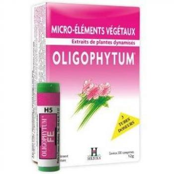 Oligophytum Yodo 100 Microgranulos Holistica