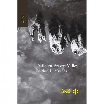 Asilo en Brazos Valley - Residencia Asistida con Atención Personalizada y Servicios Especializados