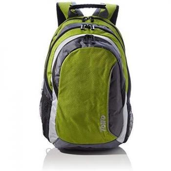 Totto MA04TEK004-1510G-GGV Mochila para Portátil 15,4, Titanio