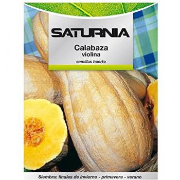 Semillas de Huerto Calabaza Violina Saturnia