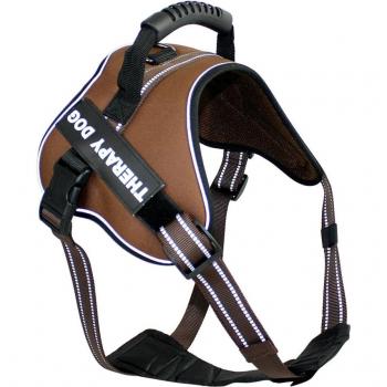 Arnés Antitirones para Perro Mediano Azul 40-50CM