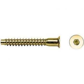 Celo 9B550Ene - Tornillo Ensamblaje para Madera Ene Cabeza Allen Diámetro 5X50 Mm Bicromatado, 250 Unidades