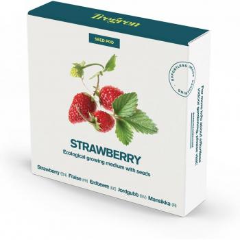 Semillas de Fresas Tregren con Pod de Cultivo Especial