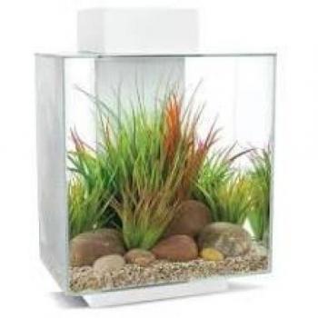 Acuario Fluval Edge LED 2.0, Blanco, 46L