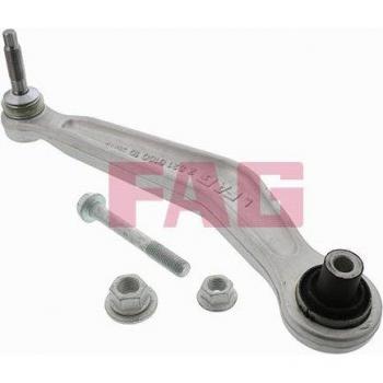 FAG Barra Oscilante de Suspensión de Ruedas Control Arm 821 0160 10
