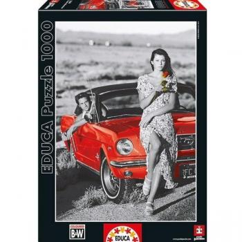 Rompecabezas 1000 piezas Country Romance