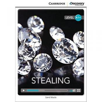 Stealing High Beginning Book with Online Access