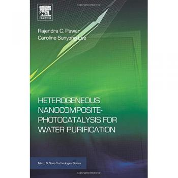 Heterogeneous Nanocomposite-Photocatalysis for Water Purification