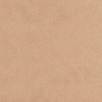 Kaisercraft Cardstock 12X12-Kraft