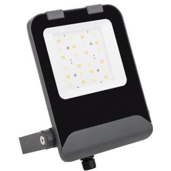 Foco Proyector LED 50W Elite CCT Seleccionable 160 lm/W IP65 (3000K - 4000K - 6500K) 120º