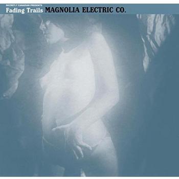 Fading Trails Reflective Running Shoes