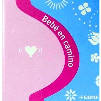 Bebe En Camino