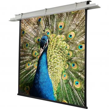 Pantalla de Proyección Eléctrica Empotrable Celexon Expert 180x180cm, Ganancia 1.2, Formato 1:1, Parte Trasera Negra
