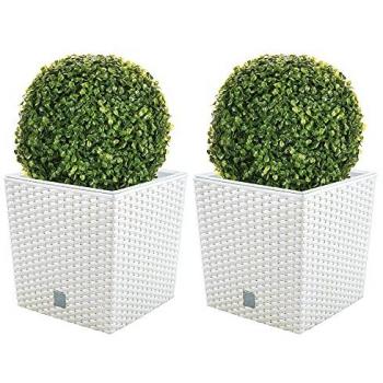 Doble Set de Maceta Rato 32 Litros Blanco + Bola de Boj 27 Cm, incluye 2 macetas de 32 litros cada una con cubilete para plantar, dimensiones de la maceta 33 x 33