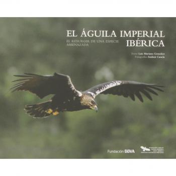Aguila imperial ibérica: el resurgir de una especie