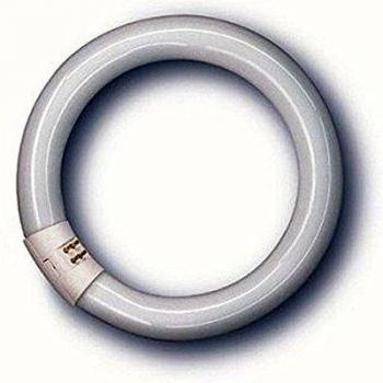 Lámpara fluorescente circular NL-T9 22W 840C/G10Q, Ø 29mm, regulable